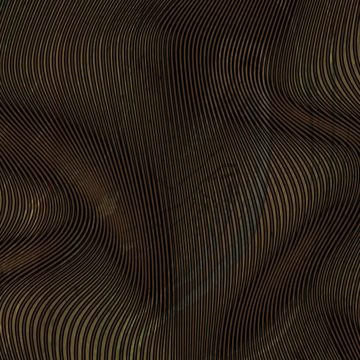 Wetsuit Jacket Alga Man 3mm Brown S Seac 1-160-S