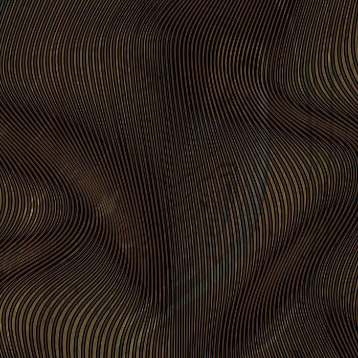 Wetsuit Jacket Alga Man 3mm Brown XXL Seac 1-160-XXL