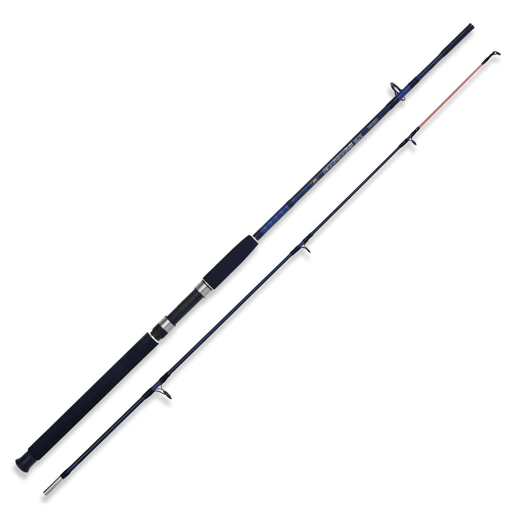 Rod Caspian Pro 250g 1,80m Lineaeffe 2240318