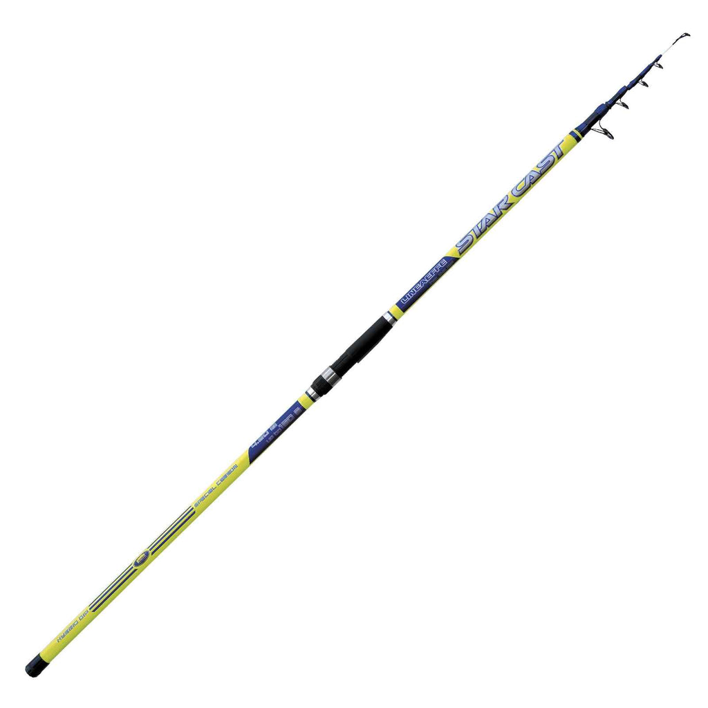Rod Star Cast Wwg 100-160g 4,20m Lineaeffe 2282716