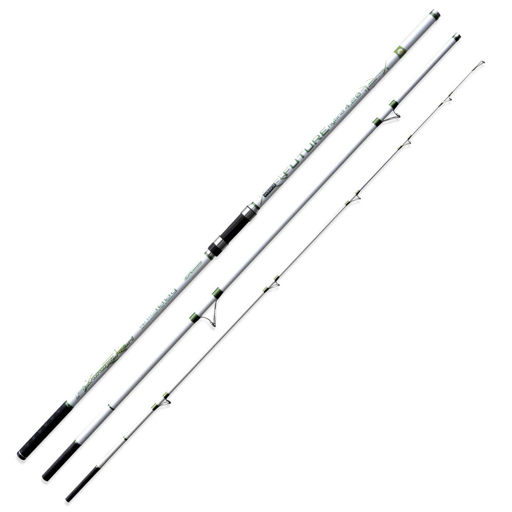 Rod Future Hybrid 300g 4,20m Fishing Ferrari 2289842