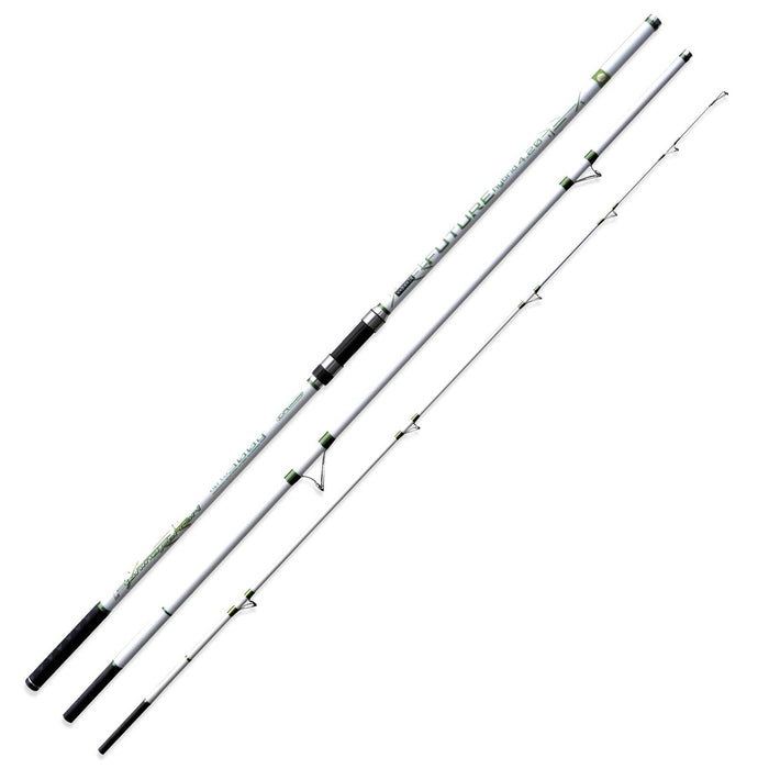 Rod Future Hybrid 300g 4,20m Fishing Ferrari 2289842