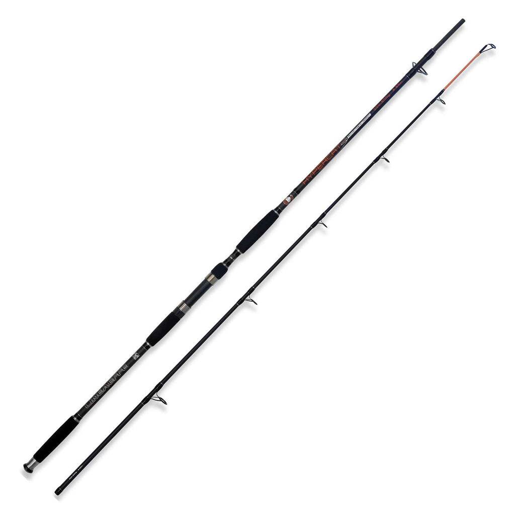 Rod Hypercat 300-500g 2,55m Lineaeffe 2312025