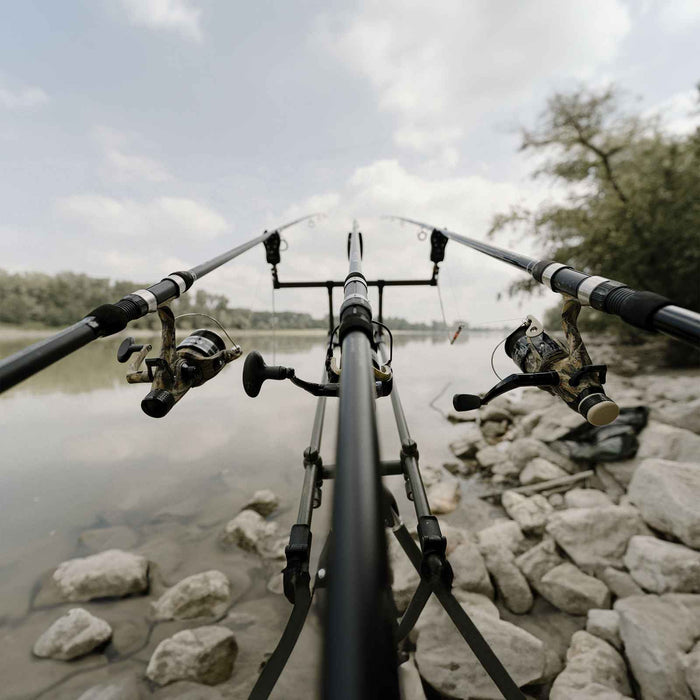 Rod Carp Seeker 3,90m Lineaeffe 2741939