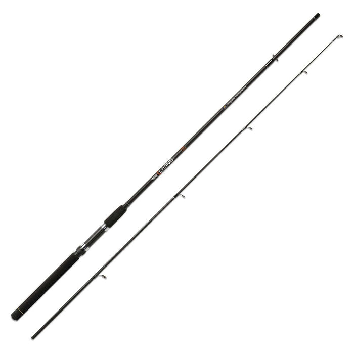 Rod Vigor Living 90g 2,40m Lineaeffe 2826224