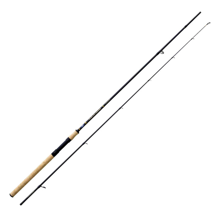 Rod Master Spinn 20-55g 2,10m Lineaeffe 2838821