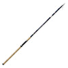 Rod Lancer 80g 3,60m Lineaeffe 2868536