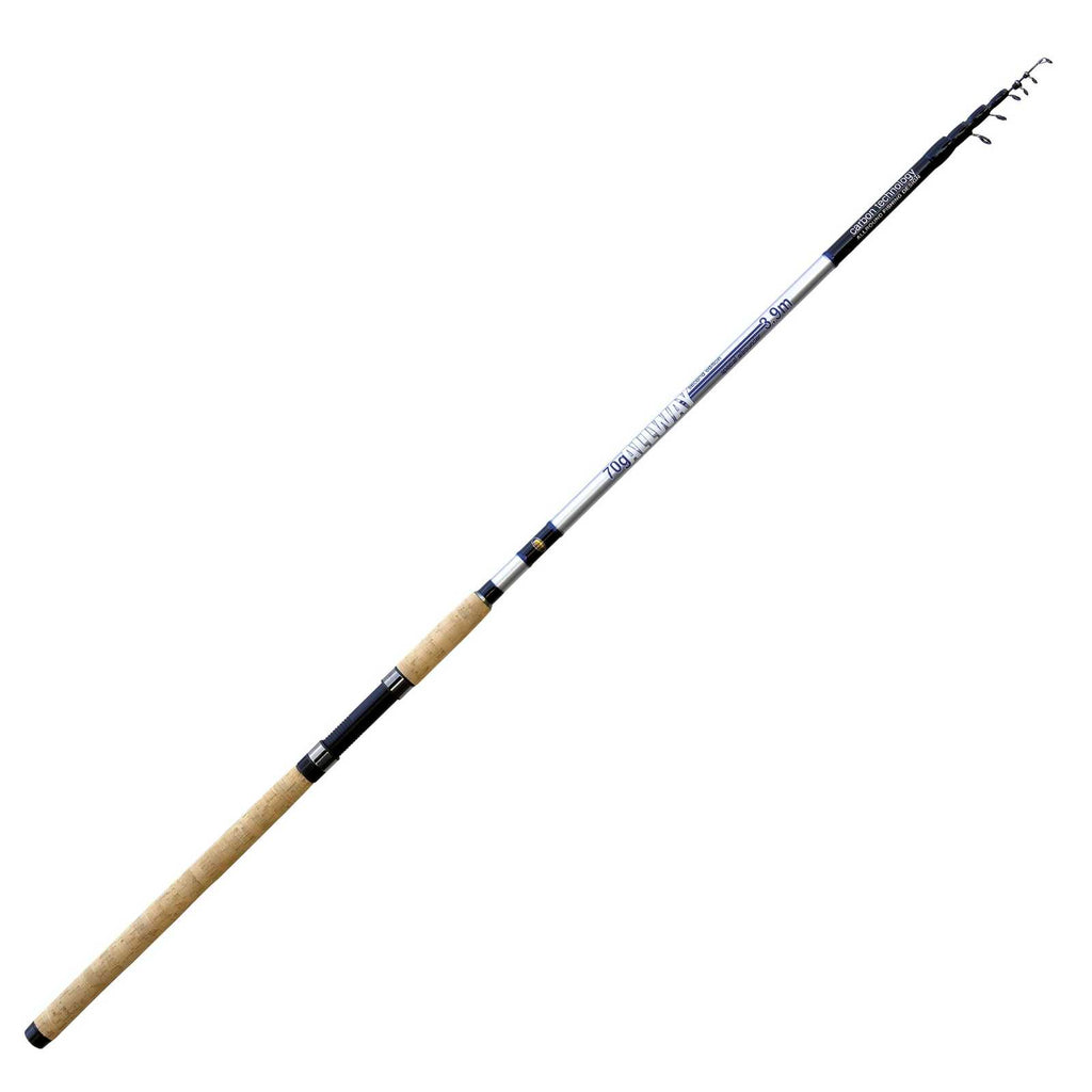 Rod Allway Second Edition 70g 3,90m Lineaeffe 2869839