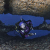 Full Wetsuit Ice Skin Woman 7mm Black-Pink Size 3-M Mares 412103S3