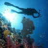 Diving Regulator Octopus Atlas Normal Use Mares 416567