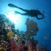 Dive Bcd Dragon Sls S Mares 417223S