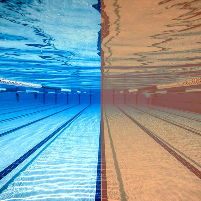 Swimming Goggles Predator Polarized Ultra Grey-Orange Regular Zoggs 461058GYORPCPR