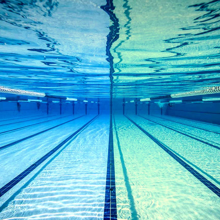 Swimming Goggles Predator Titanium Grey-Black Mirrored-Orange Lenses Regular Zoggs 461065GYBKMORR