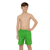 Swim Shorts Penrith 15'' Boy Green Size XL Zoggs 463475GNXL
