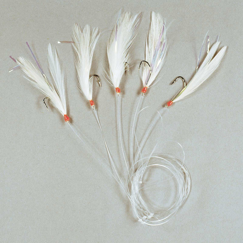 Fishing Rig 5 Hooks And White Feather Size 1-0 Lineaeffe 5642400