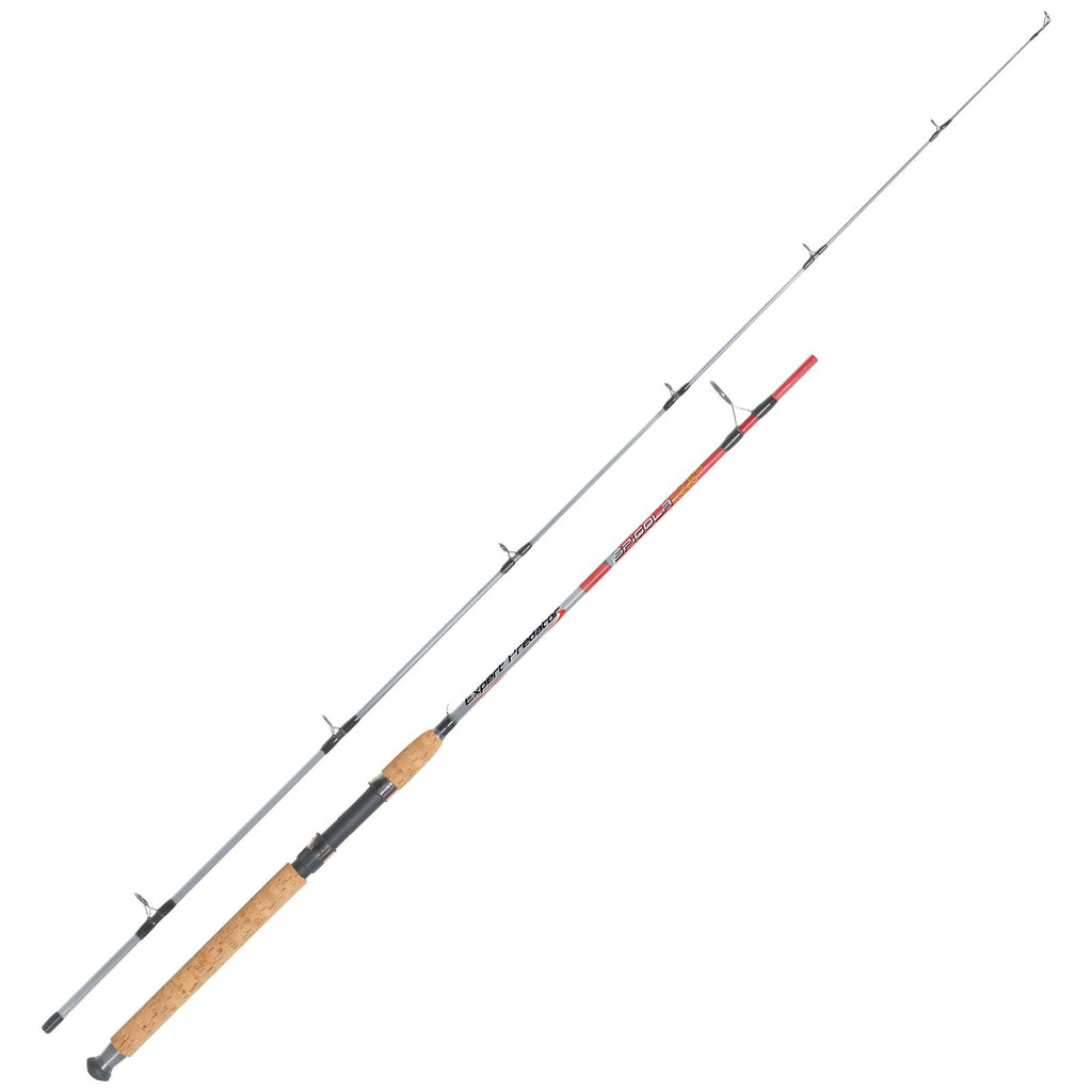 Spinning Rod Spigola 5-15g 2,2m Expert Predator 67024